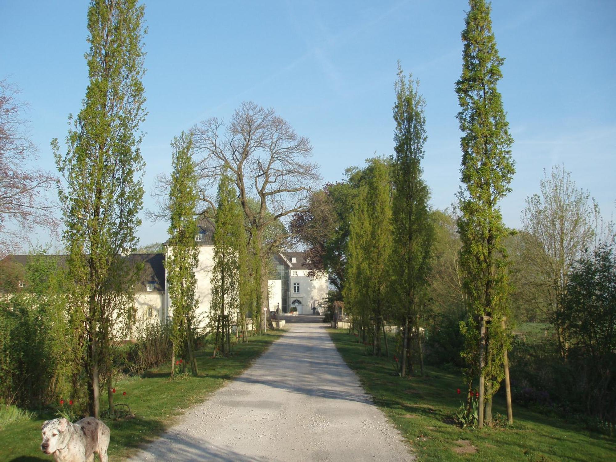 Burg Boetzelaer Hotel Kalkar Exterior photo